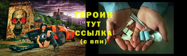 крисы Новодвинск