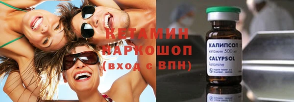 крисы Новодвинск
