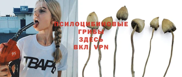 спайс Няндома