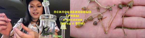 крисы Новодвинск