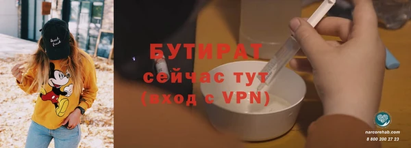 дмт Бородино