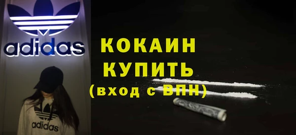 спайс Няндома