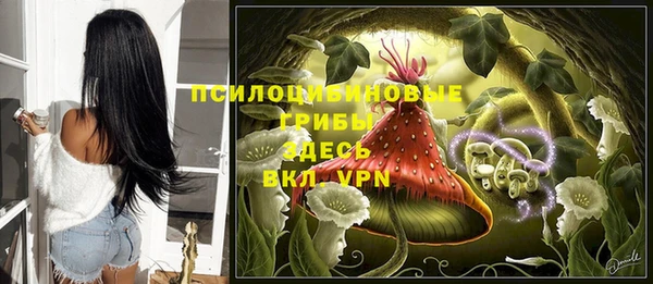 альфа пвп Новозыбков