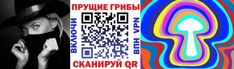 где продают наркотики  Полевской  Галлюциногенные грибы прущие грибы 