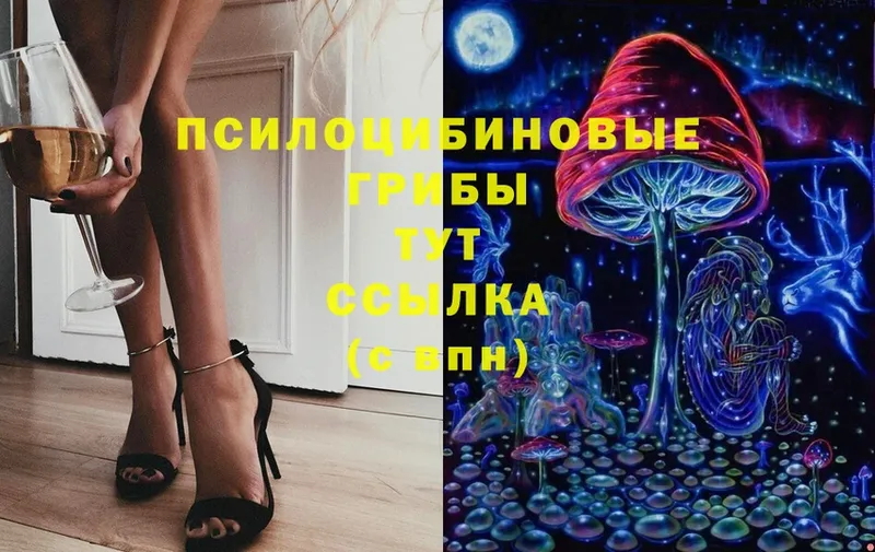 Галлюциногенные грибы Magic Shrooms  цена   это формула  Полевской 