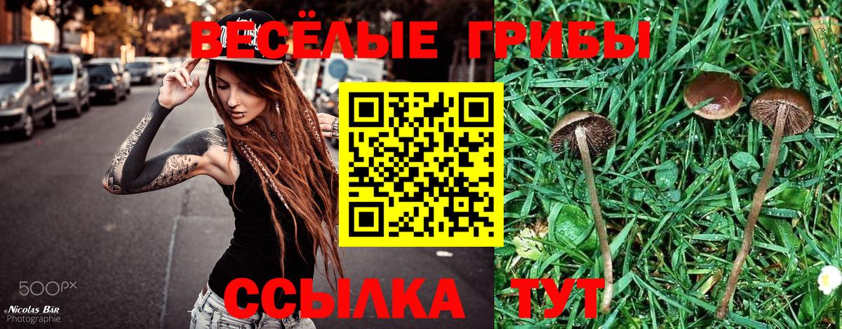 Галлюциногенные грибы ЛСД Полевской