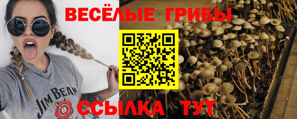 Псилоцибиновые грибы Psilocybe  где найти наркотики  Псилоцибиновые грибы мухоморы  Полевской  Вход с VPN 