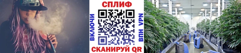 blacksprut ССЫЛКА  Полевской  МАРИХУАНА White Widow  где продают  